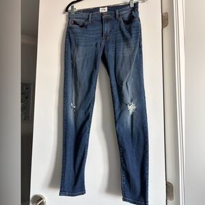 Hudson Distressed Blue Jeans